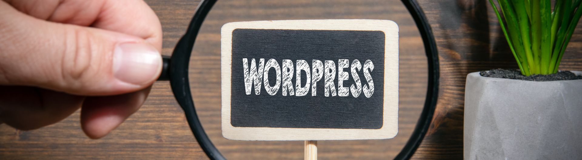 Wordpress